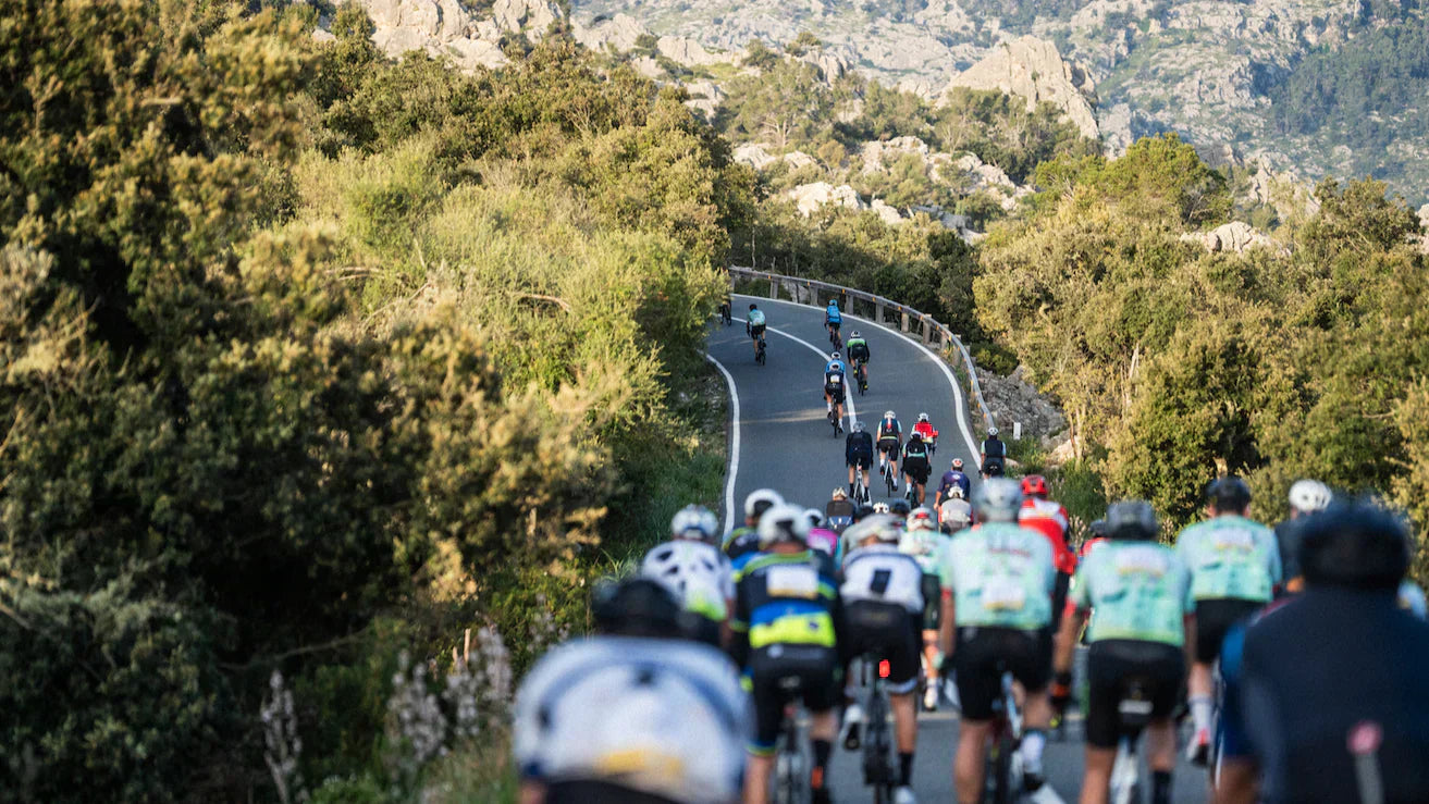 Mallorca 312
