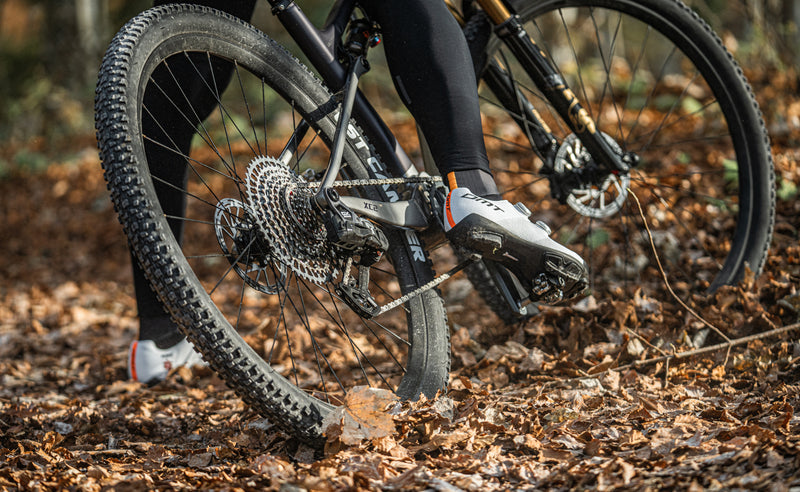 PLP02_MTB_a_mobile_da_2