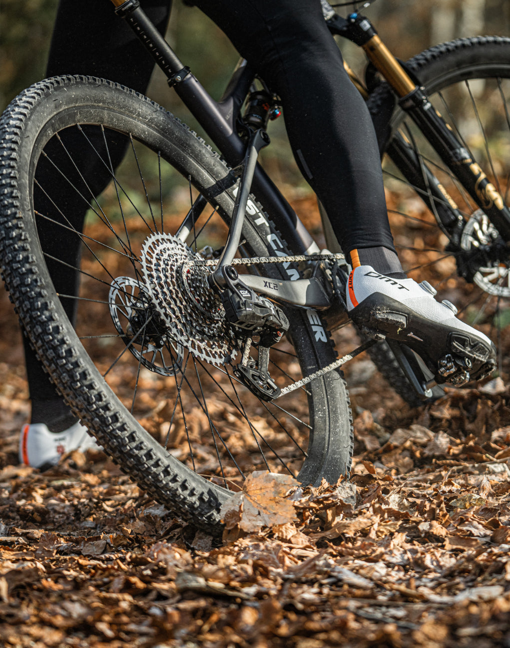 PLP02__MTB_a_DESKTOP_DA_1